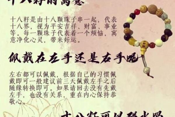 探索黄籽名字背后的历史与象征意义