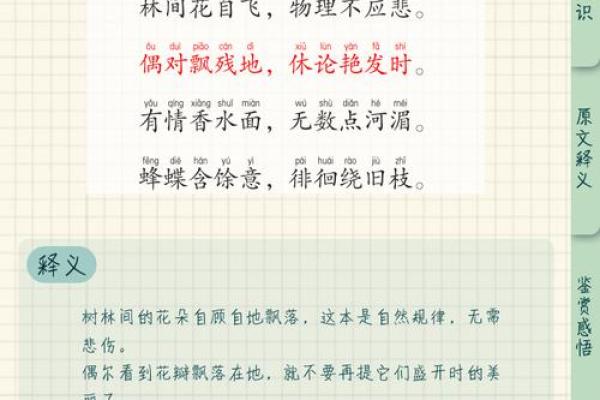 梦中花落：名字里的诗意与哲理