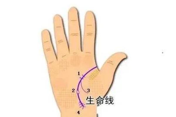 疾病手相揭秘：揭秘身体隐患的神秘信号