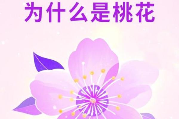 爱情风水大师揭秘：如何吸引优质桃花