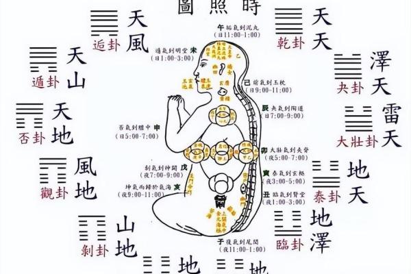 八卦方位与地支的互动解析