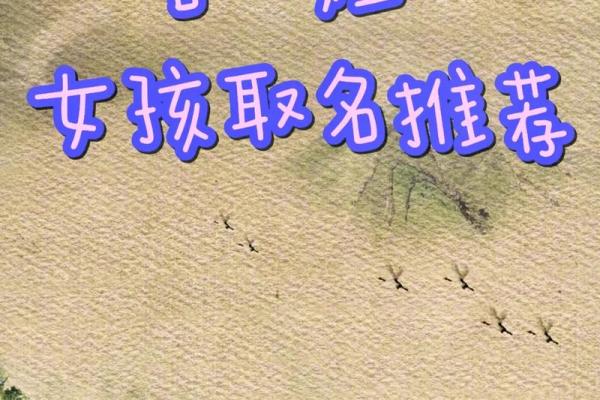 肖姓起名技巧：赋予名字独特魅力与文化内涵