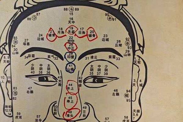 男性兜齿面相：财运亨通的秘密面相解析