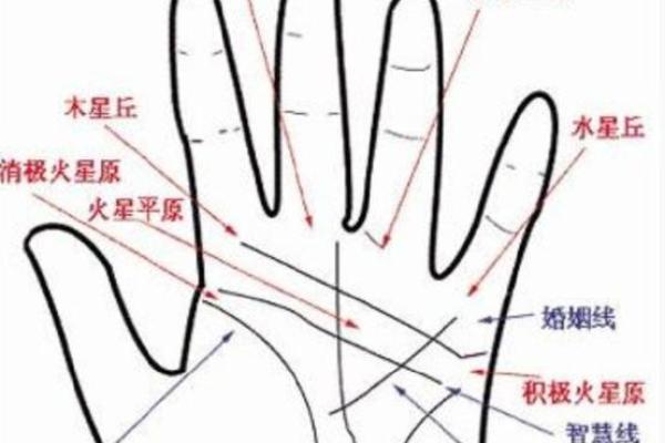 一掌在手，运势全知：手相库宝典