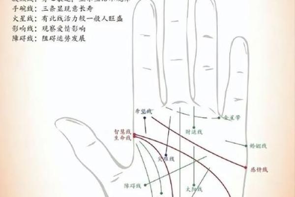 一掌在手，运势全知：手相库宝典