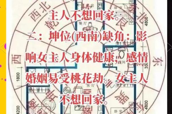 爱情风水学：家居布局助你找到心仪伴侣