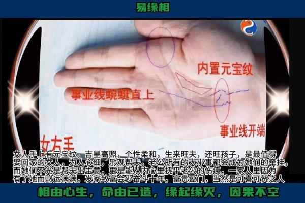 女川手相揭秘：掌握命运的秘密钥匙
