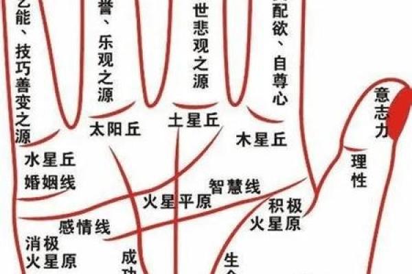 女川手相揭秘：掌握命运的秘密钥匙
