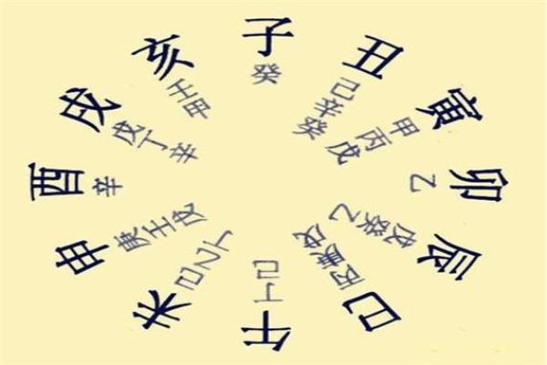 从地支藏透看命运的流转