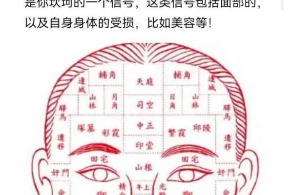 面容清秀，气质独特的面相解析