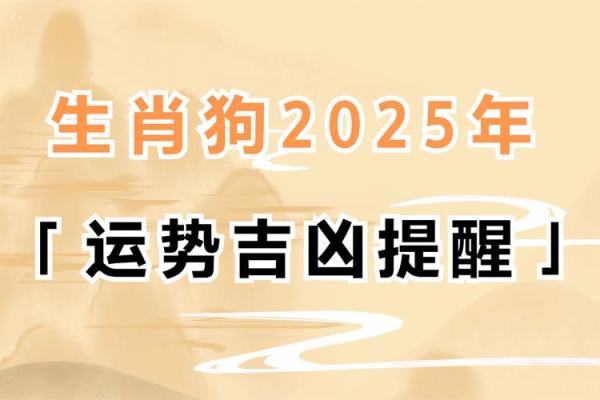 狗年运势大揭秘：如何用风水布局找到真爱