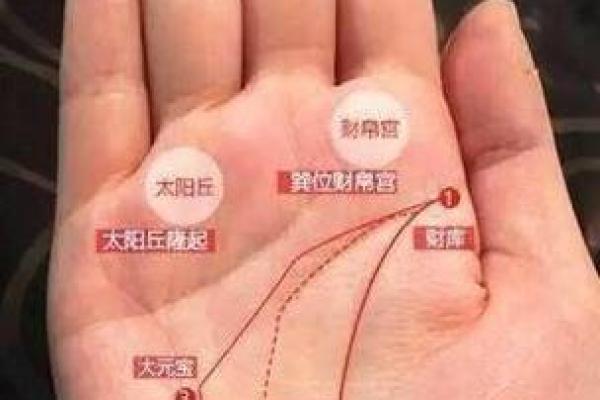 元宝手相揭秘：财运亨通的秘密武器