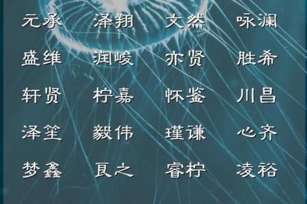 姚博：名字中的智慧与未来运势