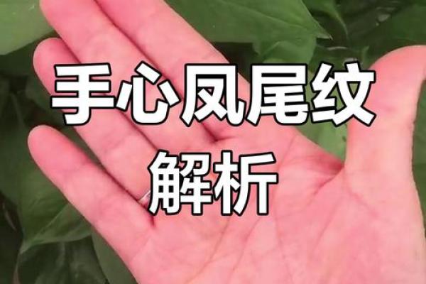 手相疤痕揭秘：命运转折的神秘印记