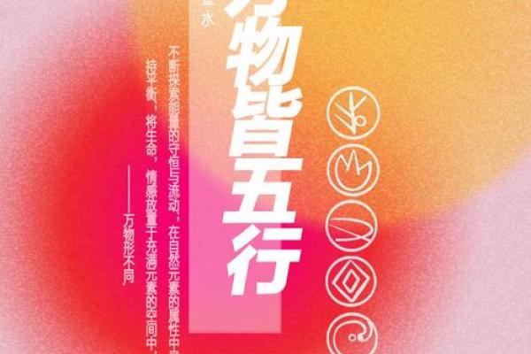 探索贝壳在五行中的角色