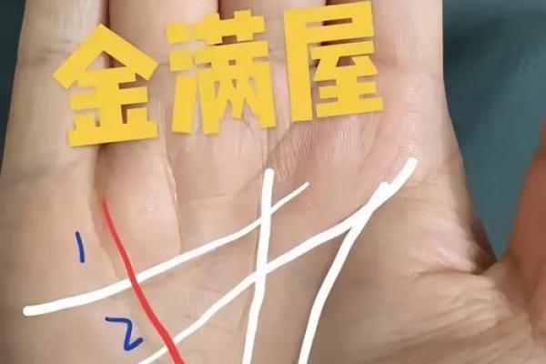 手相揭秘：王子带你窥探命运之门！