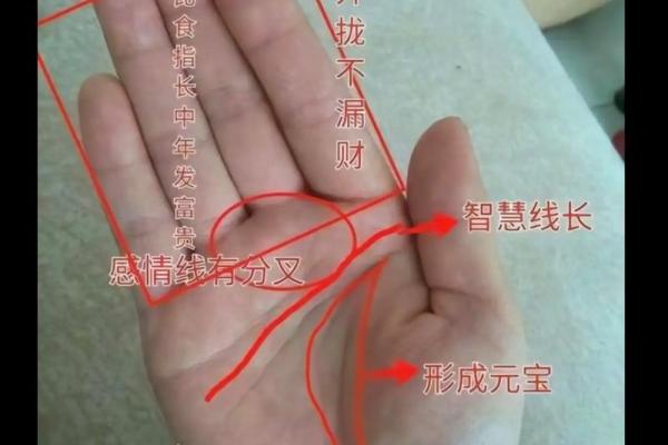 手指间的命运密码：揭秘手相算命绝学