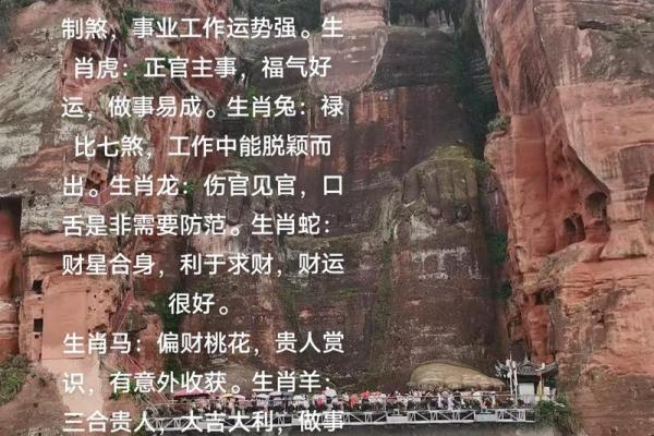逍遥人生路，姓名运势皆如意