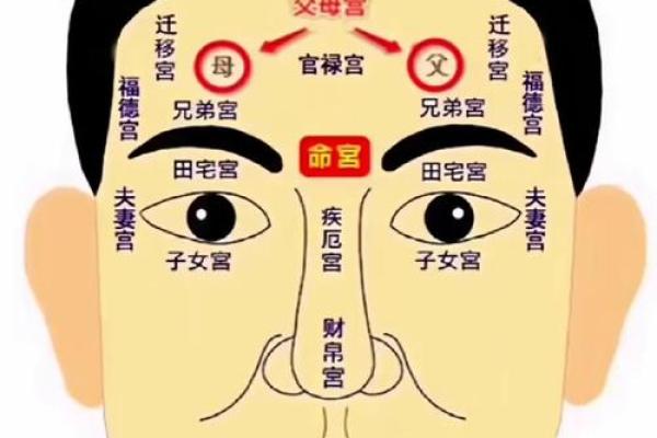 面相揭秘：自拍中的命运密码