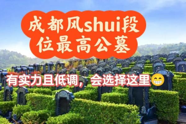 风水宝地都在这！都江堰市办公室，办公风水绝佳选择