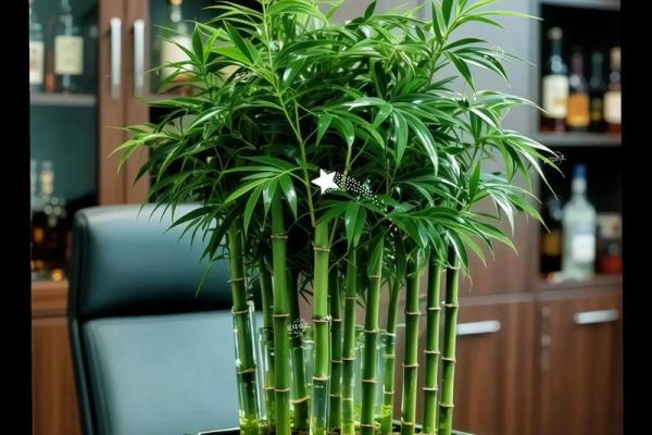 风水学中的竹叶：进门摆放有何风水讲究