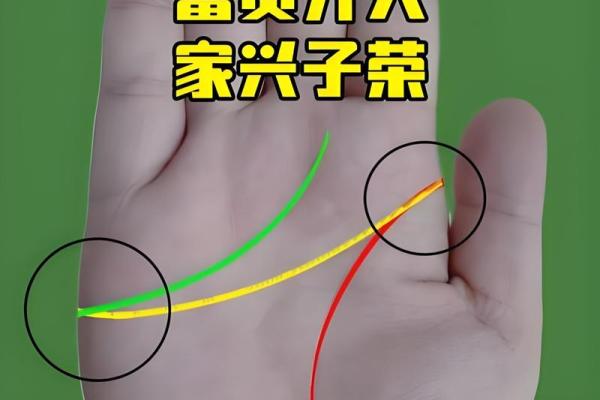 无需酒量，一掌定江山：揭秘手相中的酒禄秘密