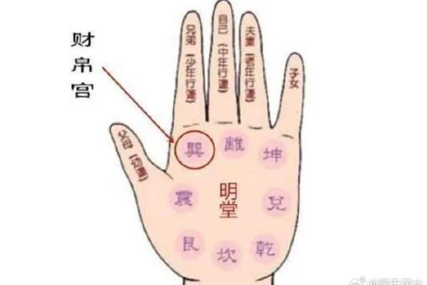 手相揭秘：掌中藏富贵，一招识破财运