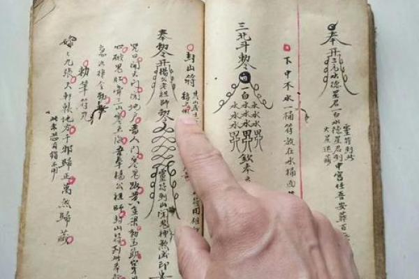 办公室风水升级秘籍：龙船花助你事业腾飞