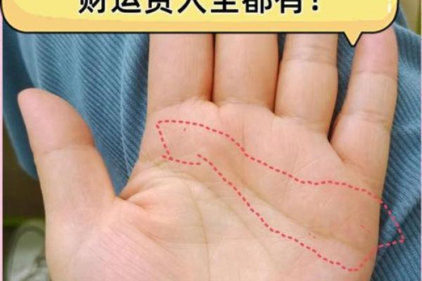 腕间秘密：揭秘手相支线中的财运奥秘