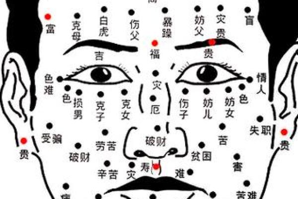 面相解析：揭秘里无子面相的秘密