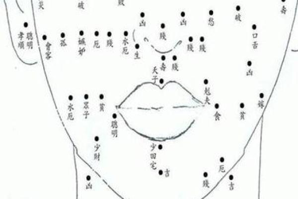 鼻痣男儿：探寻痣相背后的财运秘密