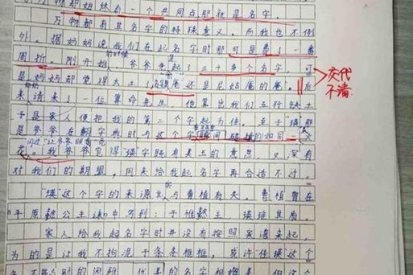林飞的故事：从名字到人生的成长轨迹