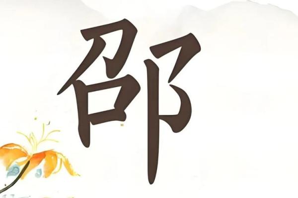绍氏新生儿：寓意吉祥、富有内涵的名字精选
