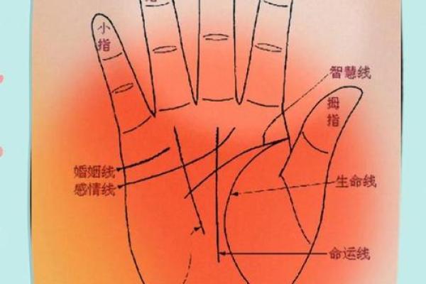手上藏着运势秘密！
