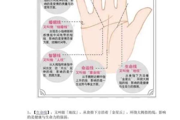 无需付费，手相解读全天开放！