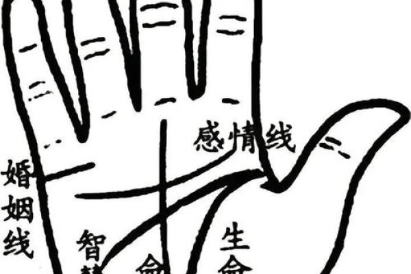 无需付费，手相解读全天开放！