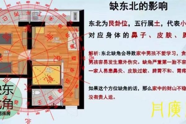 揭秘阳宅风水：如何布局旺家财运