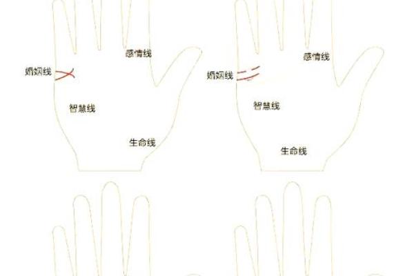 美女手相揭秘：命运线、爱情线，哪个最旺你？