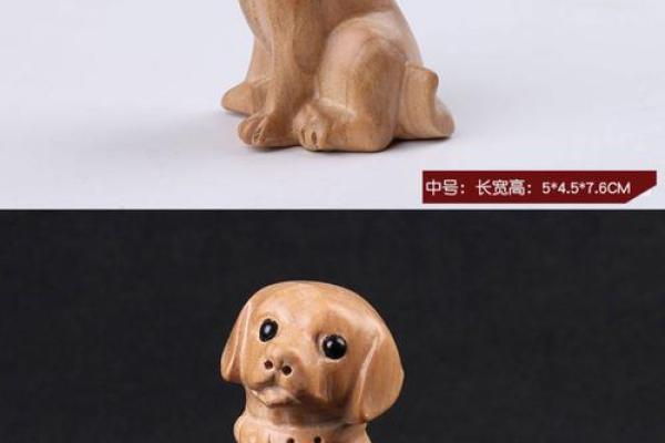 狗生肖吉祥——张悦宝