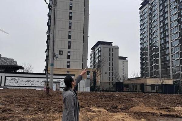 阳宅西北靠高楼,风水大师揭秘禁忌与运势 阳宅西北靠高楼,风水大师揭秘禁忌与运势