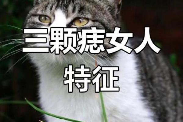 背后痣相:揭秘命运之谜,你有没有这样的痣? 背后痣相:揭秘命运之谜,你有没有这样的痣?