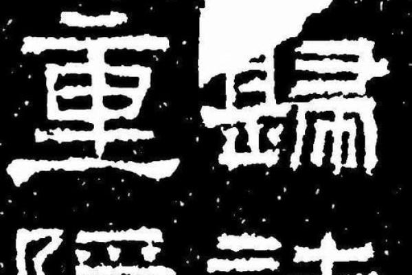 御风而行:探索御字命名的独特魅力 御风而行:探索御字命名的独特魅力