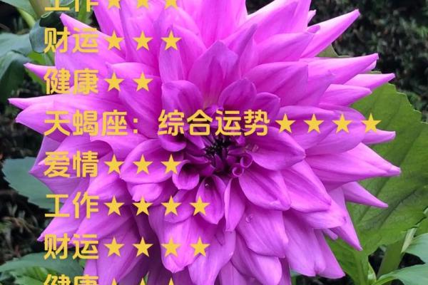 今日天平座运势揭秘:平衡之美,运势翻倍 今日天平座运势揭秘:平衡之美,运势翻倍