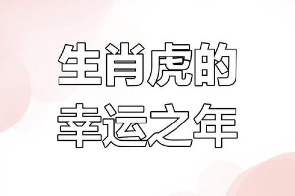 解析属虎人一生的财运与事业运 解析属虎人一生的财运与事业运