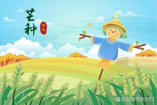 芒种到来,习俗盎然,农耕文化韵犹存 芒种到来,习俗盎然,农耕文化韵犹存