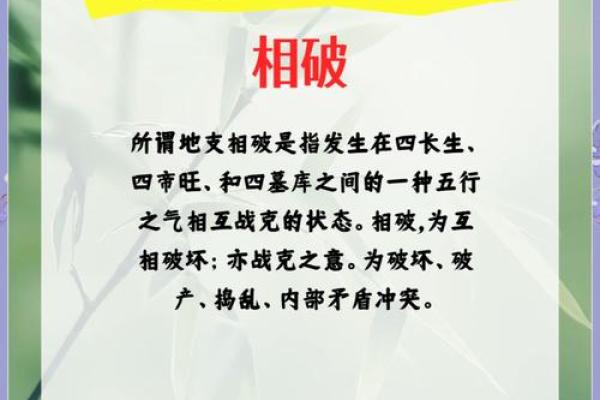 揭秘地支对情感与事业的影响 揭秘地支对情感与事业的影响