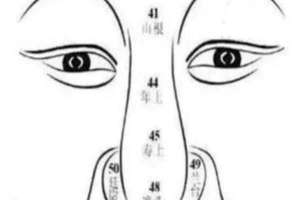 鼻孔塌陷面相,揭秘你的命运秘密! 鼻孔塌陷面相,揭秘你的命运秘密!