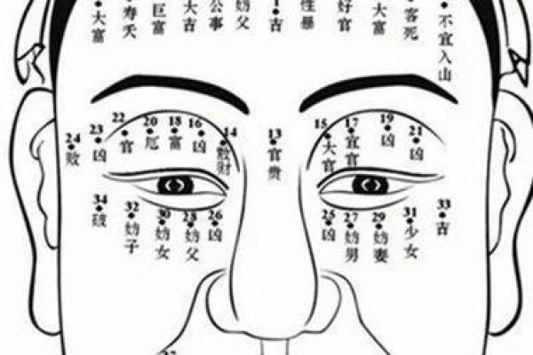 脸上痣多,运势旺旺旺 脸上痣多,运势旺旺旺