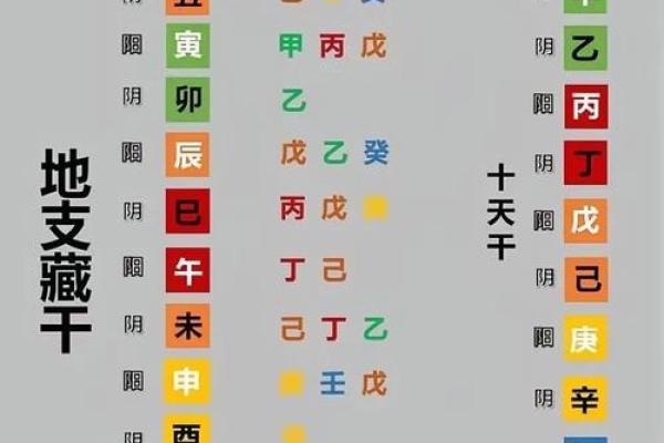 地支头年:生肖运势的起点与变化 地支头年:生肖运势的起点与变化