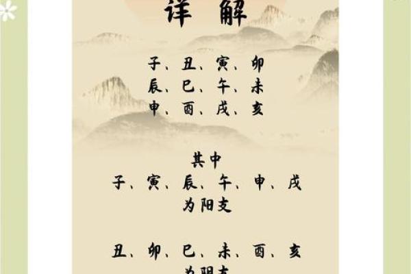 水与十二地支的命理影响 水与十二地支的命理影响